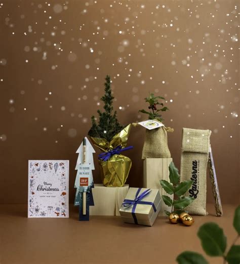 Boostez les Ventes de Noël avec des Cadeaux personnalisables et généreux - Idées Nature