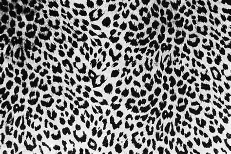 Black Cheetah Wallpaper (69+ images)