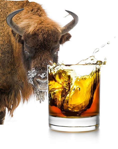 Recipes – Bison Vodka