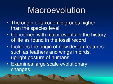 PPT - Macroevolution PowerPoint Presentation, free download - ID:657654