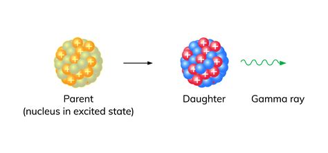 Gamma Decay - Wize High School Grade 12 Physics Textbook | Wizeprep