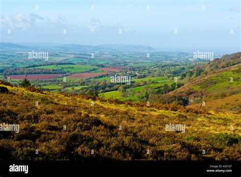 Quantock hills somerset hi-res stock photography and images - Alamy