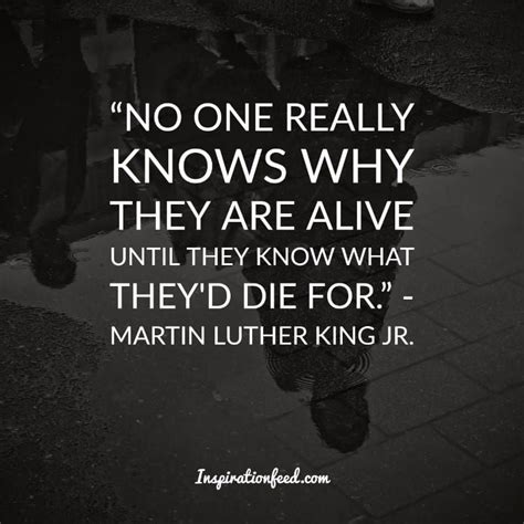 30 Martin Luther King Jr. Quotes on Courage and Equality ...