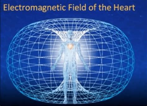 Heart-Brain Coherence- Discovery in the Neurocardiology Field