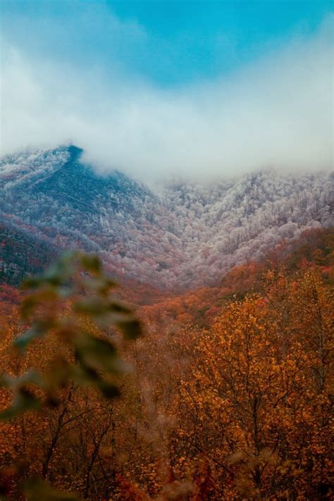 Fall in the Smoky Mountains: 30+ Best Things to Do