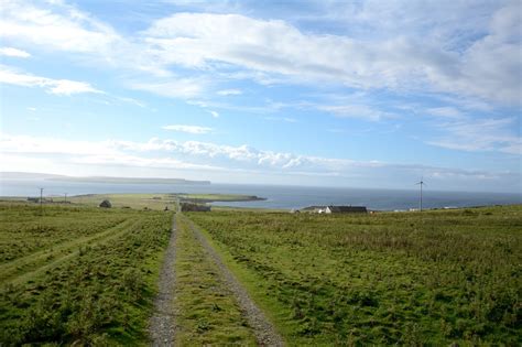 Orkney Wildlife Photography: Sanday