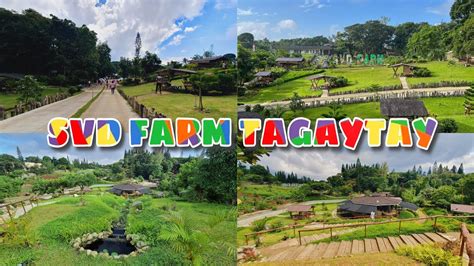 SVD FARM Tagaytay 🌱🌿 SVD Laudato Si’ Farm Tagaytay - YouTube