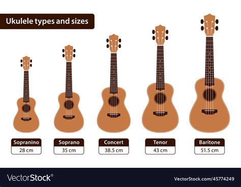 Kids and professional ukulele sizes comparison Vector Image