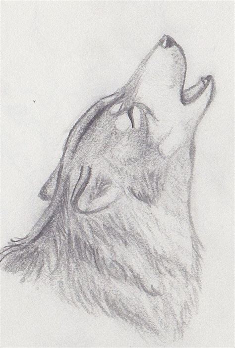 amp-pinterest in action | Animal drawings sketches, Wolf sketch, Wolf drawing