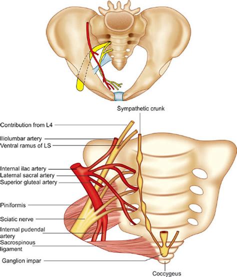 Sacrospinous Ligament Suspension