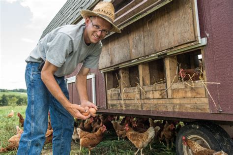 Livestock Management - Rodale Institute