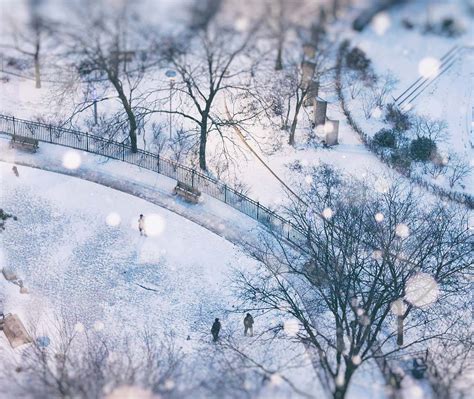 Snowy Toronto – Bing Wallpaper Download