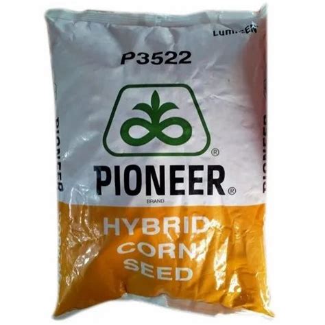 Dried Pioneer Hybrid Corn Seed, Packaging Type: Bag, Packaging Size: 30Kg at best price in Katihar