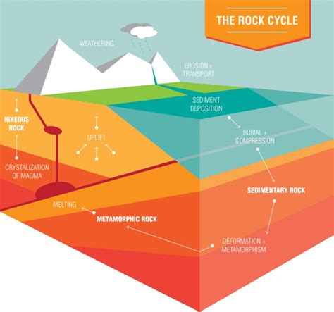 the layers of rock cycle diagram with information on each layer ...