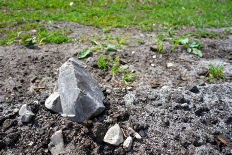 Dealing With Rocky Soil - How To Get Rid Of Rocks In Soil | Gardening Know How