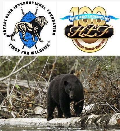 EXPANDING BLACK BEAR HUNTING IN CALIFORNIA | OutDoors Unlimited Media and Magazine