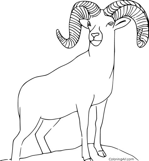 Bighorn Sheep Coloring Pages (17 Free Printables) - ColoringAll