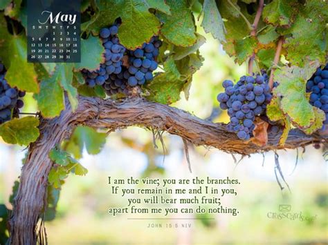 May 2013 - John 15:5 NIV Desktop Calendar- Free May Wallpaper