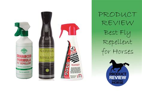 Best Fly Repellents for Horses | Everything Horse