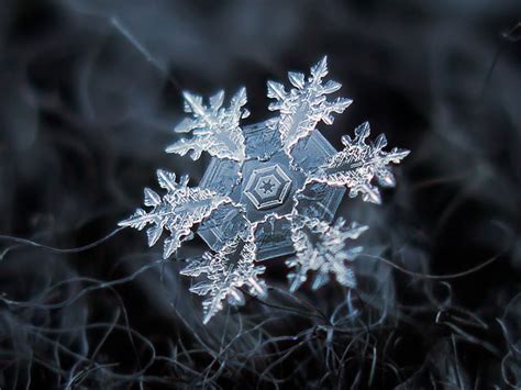 How to take Macro Snowflakes Photography under $50 Customized Lens