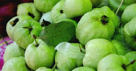 Is Guava Seeds Harmful to the Body | Potential Health Benefits of Guava Seeds|