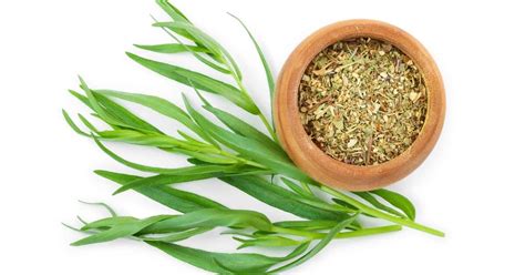 8 Of The Best Tarragon Substitute - (Options You Likely Have)