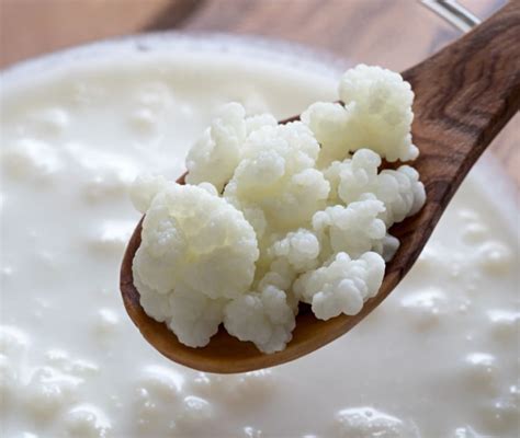 Kefir: Proprietà Nutrizionali, Ruolo nella Dieta e Come si Mangia