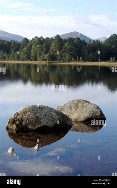 Loch Morlich Glenmore Aviemore Stock Photo - Alamy