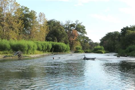 Seguin City Council pledges $5M for Nolte Dam repairs, restore Meadow Lake | News ...