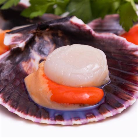 A Beginner's Guide to Cooking with Diver Scallops