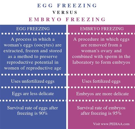 What is the Difference Between Egg Freezing and Embryo Freezing ...