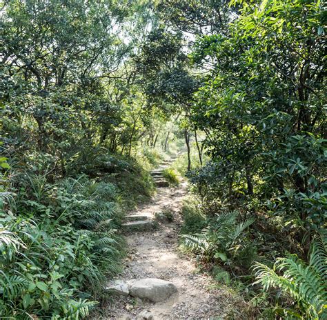 All you need to know about the Lantau Peak hike - difficulty, location ...