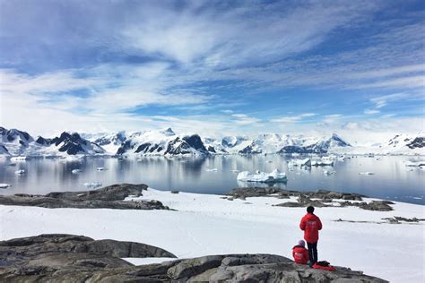 How Much Does an Antarctica Cruise Cost? - Wander Era