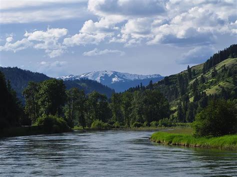 Alliance for the Wild Rockies challenges massive clearcut and burning project near Lake Pend ...