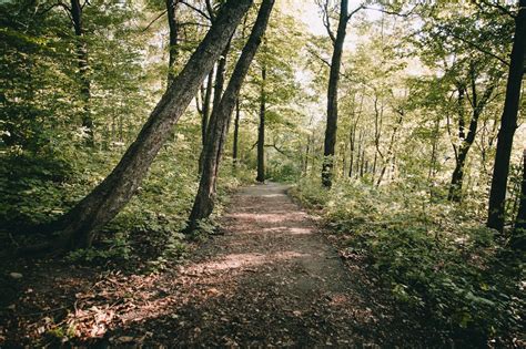 Walking Trails In Concord, MA | Visit Concord