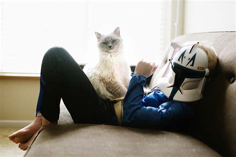 A Boy And His Cats: I Document The Bond Between My Boys And Their Cats | Bored Panda