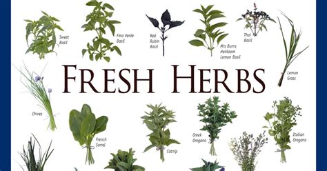 Welcome to All Things "Herbal": Herb Identification Chart