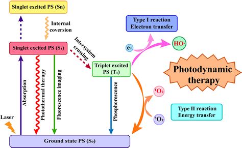 Frontiers | Current Strategies for Tumor Photodynamic Therapy Combined With Immunotherapy