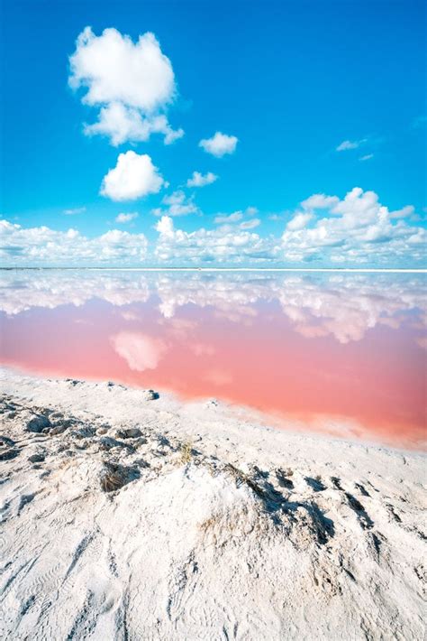 Las Coloradas: Visiting Mexico's Amazing Pink Lakes!