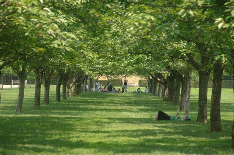 Brooklyn Botanic Garden : NYC Parks