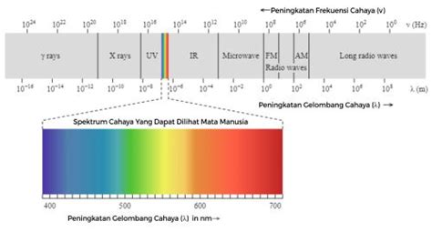 Ada Banyak Warna Lampu, Mana yang Paling Cocok untuk Ruangan Anda?