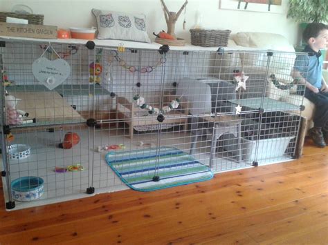 Best setup for an indoor rabbit - Rabbits United Forum | Pet bunny rabbits, Indoor rabbit, Diy ...