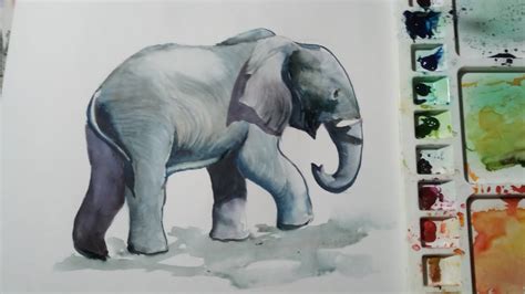 How to draw an elephant with watercolour - YouTube