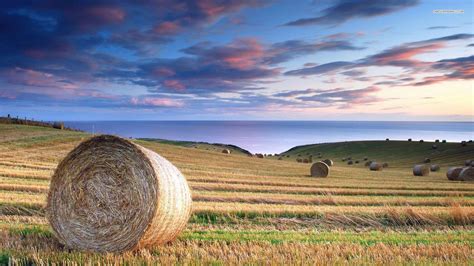 Hay Field Wallpapers - Top Free Hay Field Backgrounds - WallpaperAccess