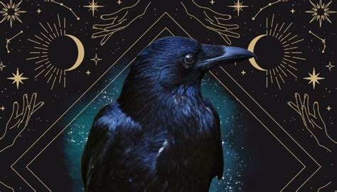 The Amazing Meaning of a Crow: Deep Spiritual Symbolism & Message