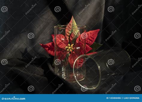 The Glass Bottles and Flowers in Black Background Stock Photo - Image ...