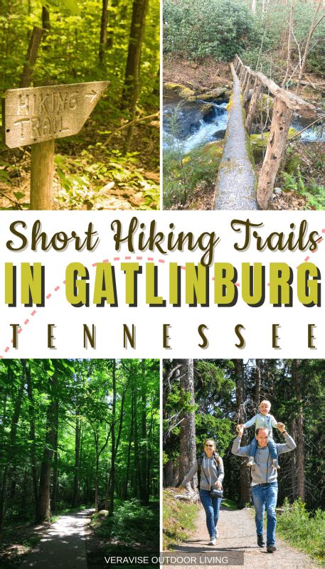 Short Hiking Trails In Gatlinburg, TN