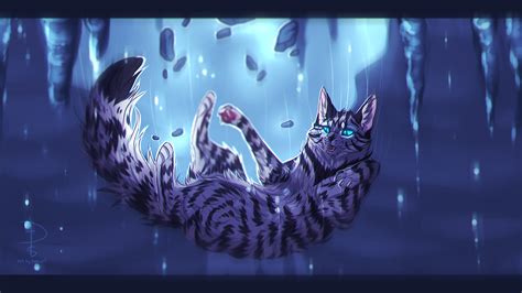 Feathertail by Fox-Desert on DeviantArt