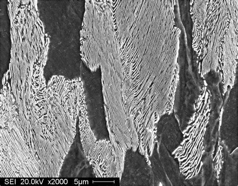 Difference Between Pearlite and Bainite | Compare the Difference ...