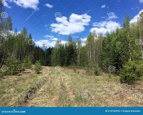 An Abandoned Road in the Forest Stock Photo - Image of dark, ship ...